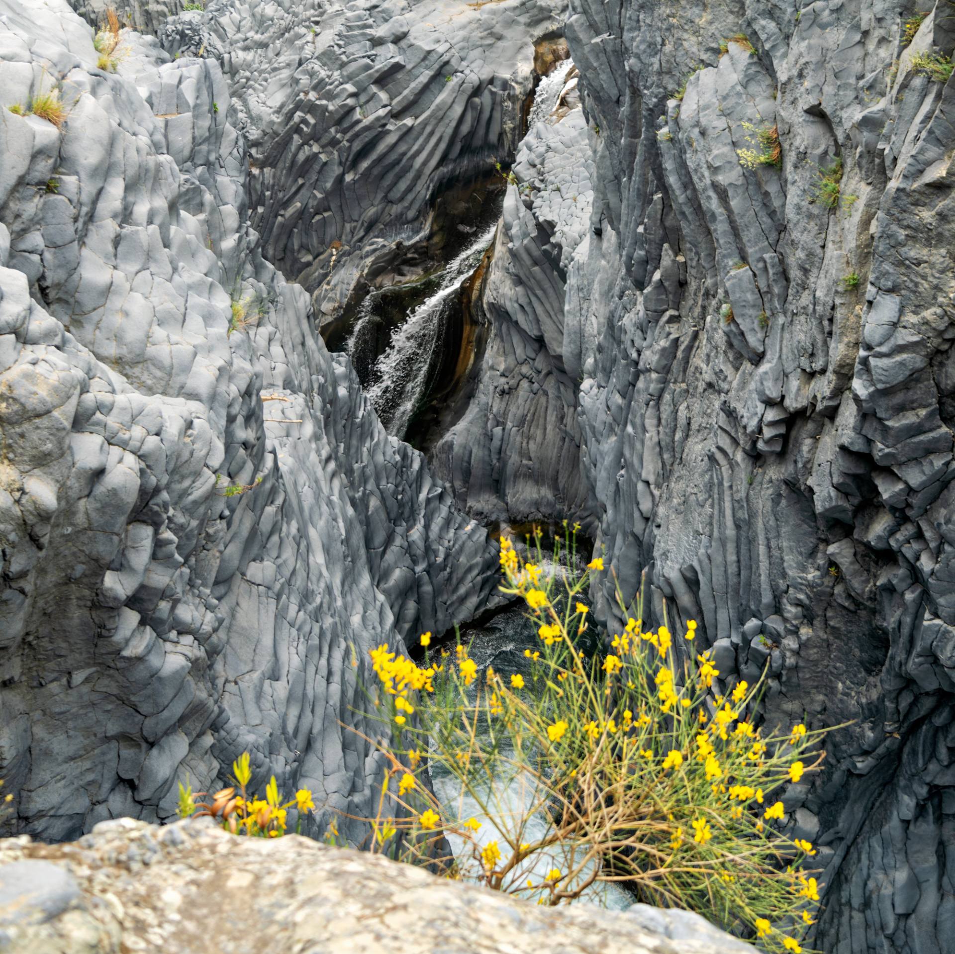 Gole dell'Alcantara (Parco Botanico e Geologico) in Motta Camastra